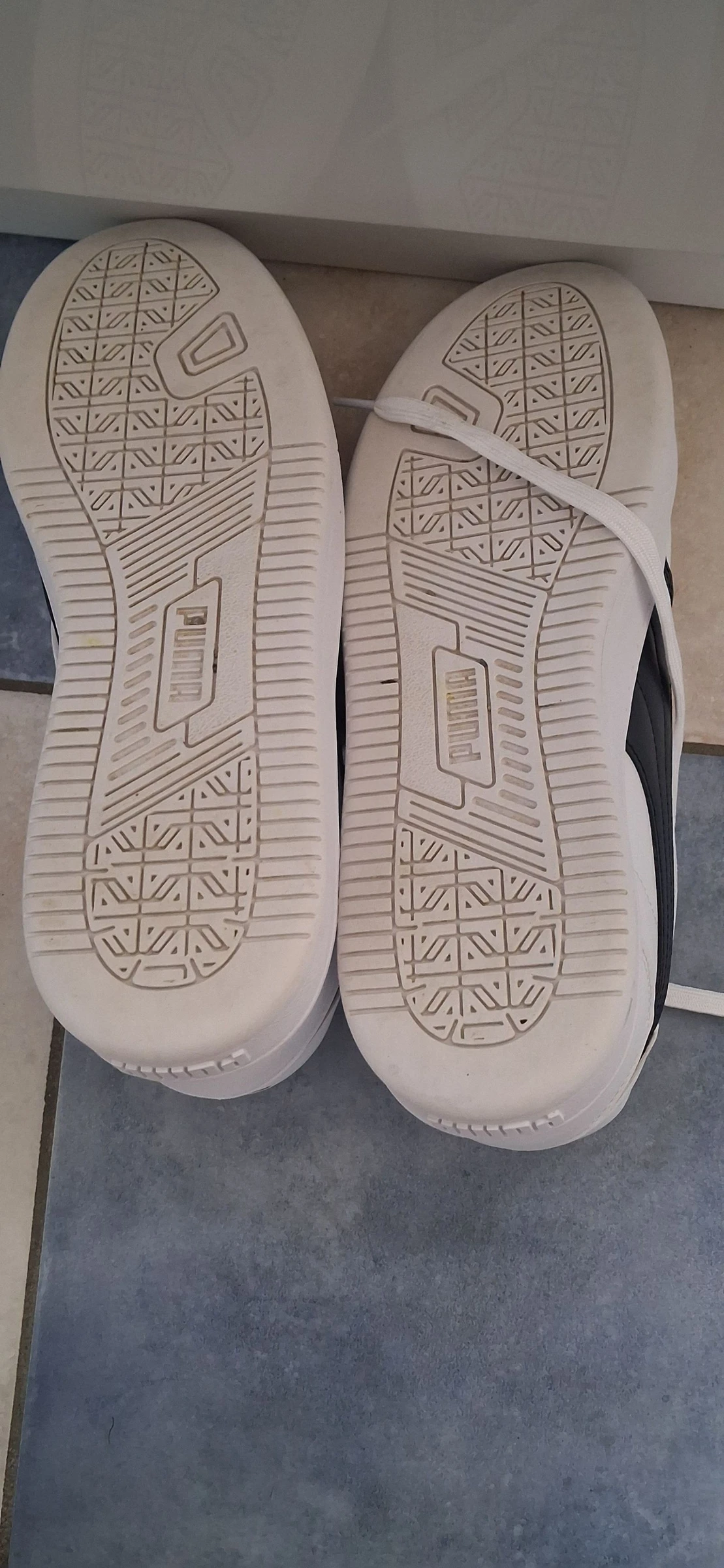 Cesta puma – photo 6